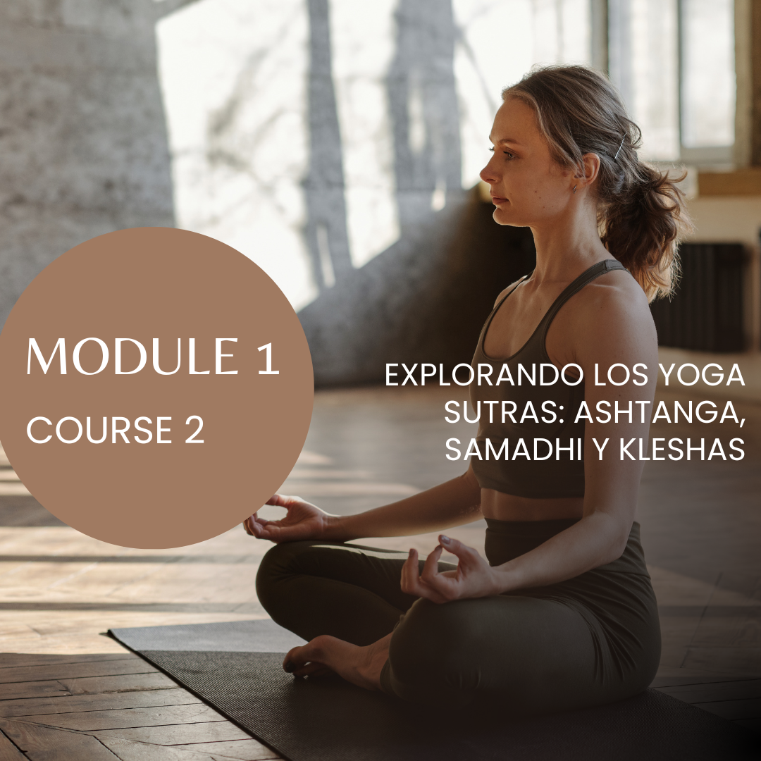 M1/C2 Explorando los Yoga Sutras: Ashtanga, Samadhi y Kleshas