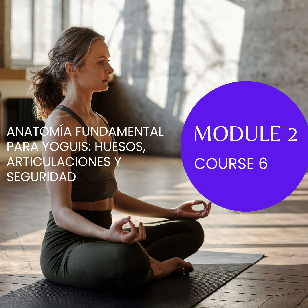 M2/C6 Anatomía Fundamental para Yoguis: Huesos, Articulaciones y Seguridad