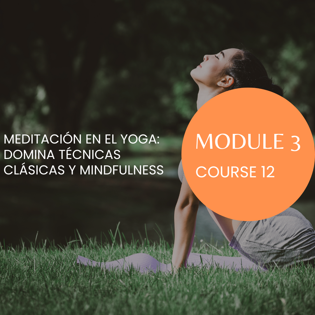 M3/C12 Meditación en el Yoga: Domina Técnicas Clásicas y Mindfulness